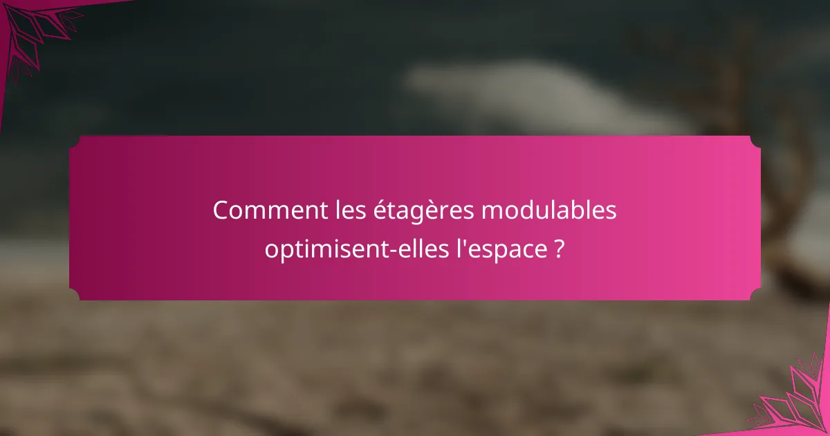 Comment les étagères modulables optimisent-elles l'espace ?