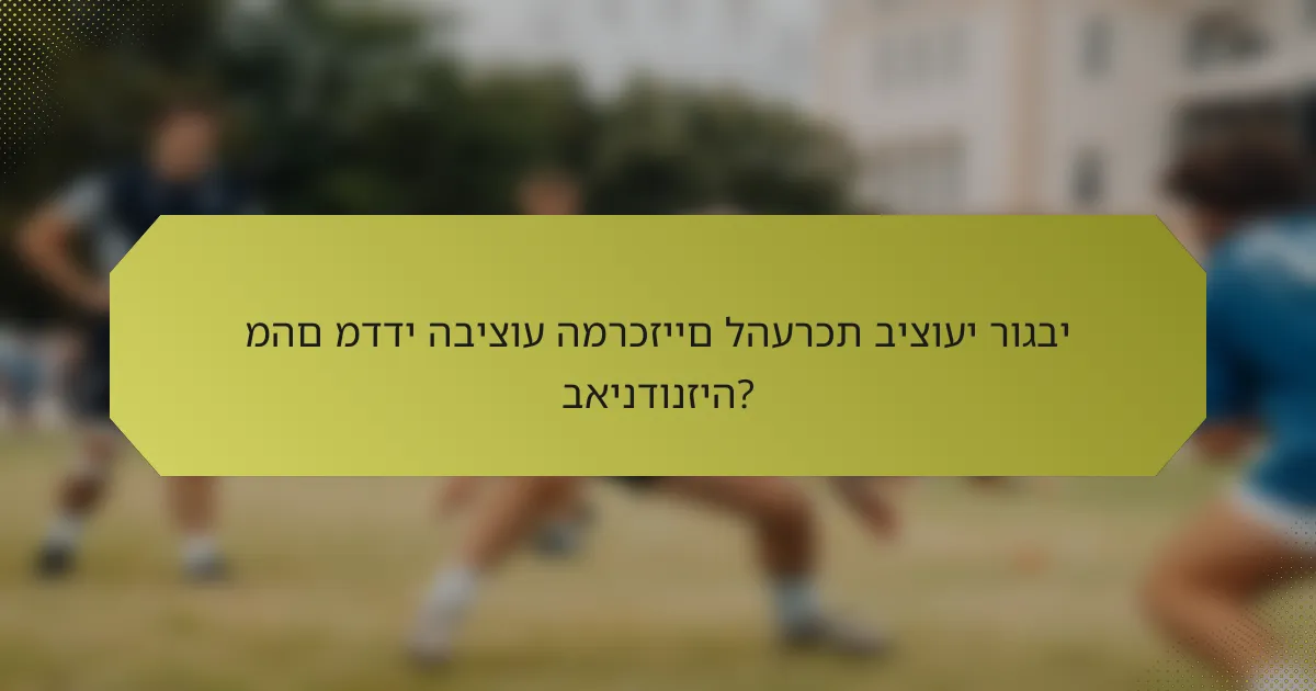 מהם מדדי הביצוע המרכזיים להערכת ביצועי רוגבי באינדונזיה?