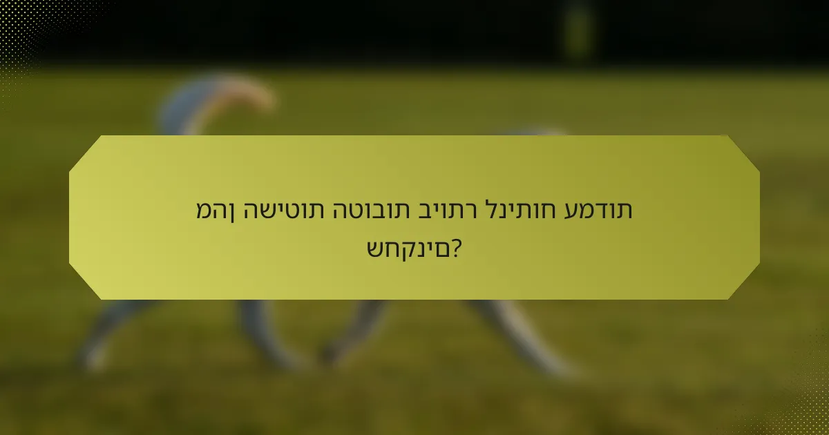 מהן השיטות הטובות ביותר לניתוח עמדות שחקנים?