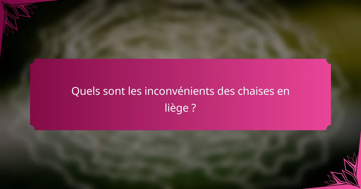 Quels sont les inconvénients des chaises en liège ?